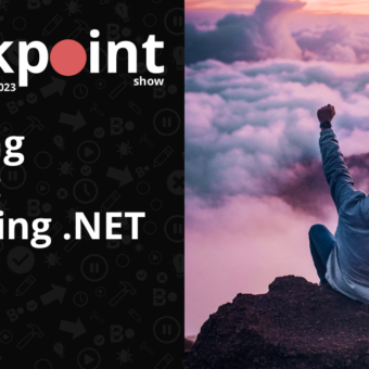 Asserting Success: Navigating .NET Testing